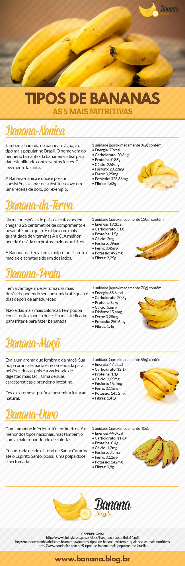 Inforgráfico com os 5 tipos de Bananas mais nutritivas: Banana Prata, Banana Maçã, Banana Ouro e a Banana da Terra. Veja também suas calorias e nutrientes