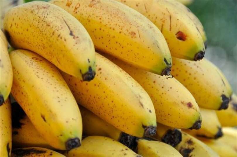 Banana Ouro: conheça os seus benefícios e aprenda receitas